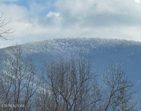 Tiny photo for 1016 Country Mountain Rd, Cosby, TN 37722 (MLS # 1346978)