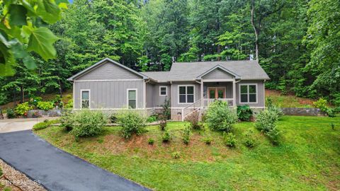 Photo of 1016 Country Mountain Rd, Cosby, TN 37722 (MLS # 1346978)