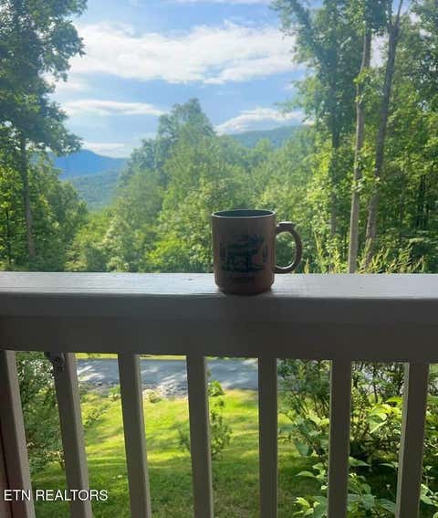 Tiny photo for 1016 Country Mountain Rd, Cosby, TN 37722 (MLS # 1346978)