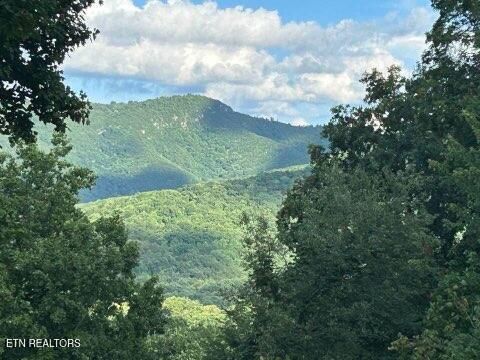 Tiny photo for 1016 Country Mountain Rd, Cosby, TN 37722 (MLS # 1346978)