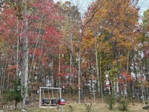 Tiny photo for 1016 Country Mountain Rd, Cosby, TN 37722 (MLS # 1346978)