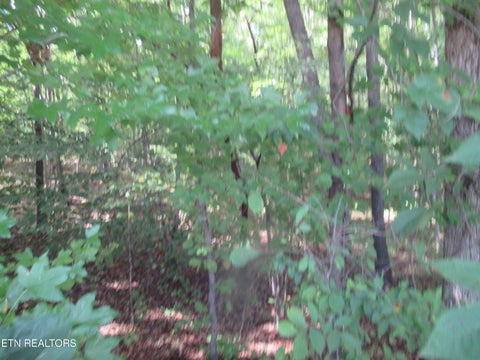 Tiny photo for E Governor John Sevier Hwy, Knoxville, TN 37920 (MLS # 1313840)
