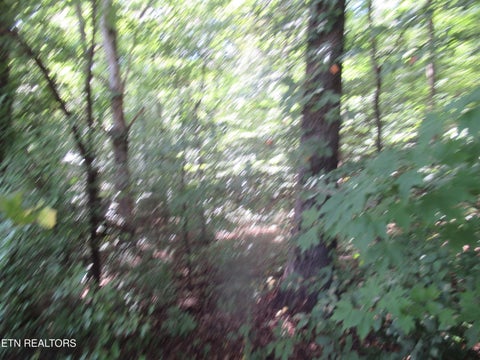 Tiny photo for E Governor John Sevier Hwy, Knoxville, TN 37920 (MLS # 1313840)