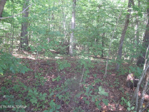 Tiny photo for E Governor John Sevier Hwy, Knoxville, TN 37920 (MLS # 1313840)