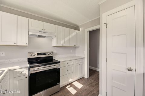 Tiny photo for 418 Highland Drive, Clinton, TN 37716 (MLS # 1331796)