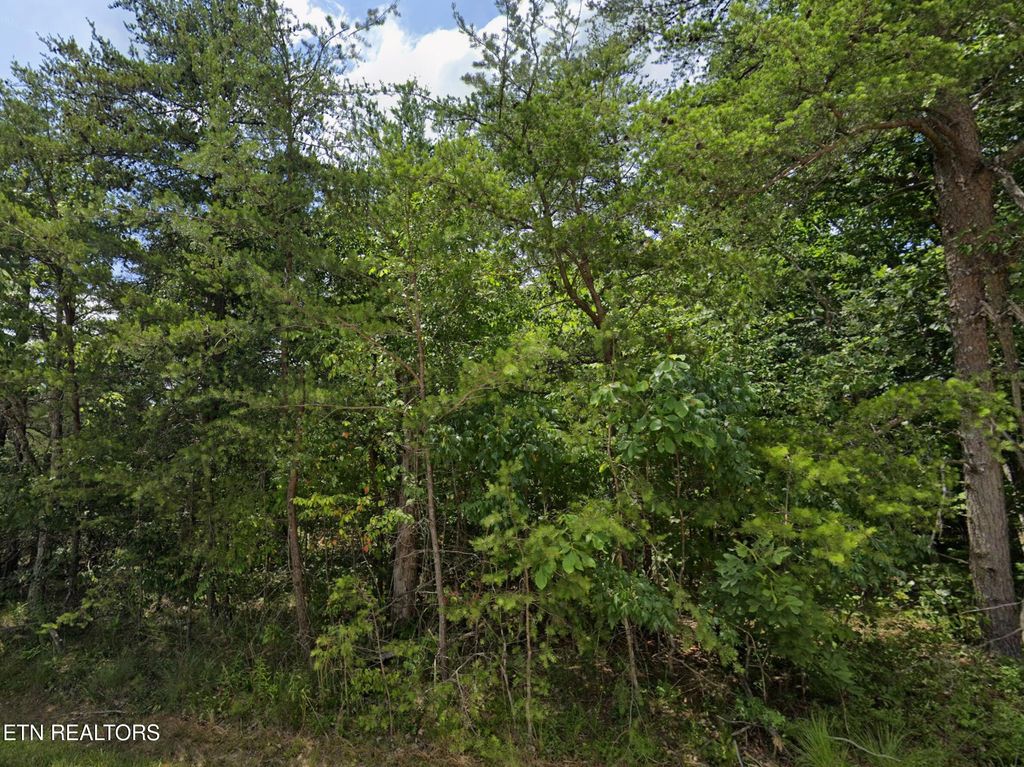Photo of 111 Wycliff Lane, Crossville, TN 38558 (MLS # 1332913)