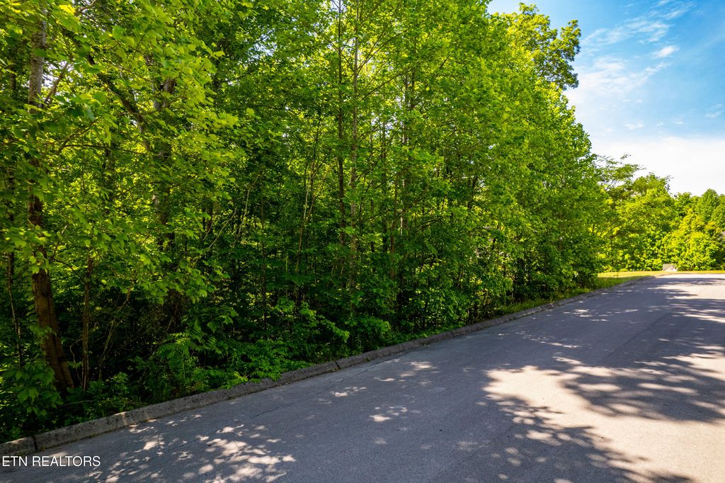 Photo of 1055 Houston Springs Rd, Greenback, TN 37742 (MLS # 1327440)