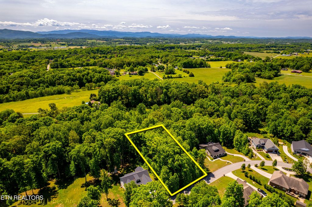 Photo of 1055 Houston Springs Rd, Greenback, TN 37742 (MLS # 1327440)
