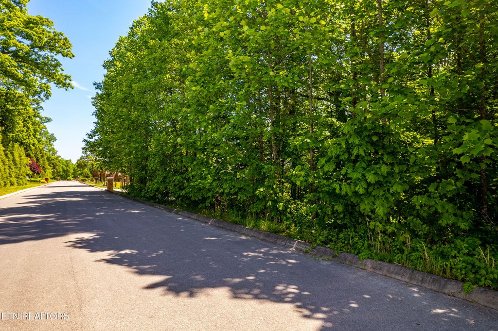 Photo of 1055 Houston Springs Rd, Greenback, TN 37742 (MLS # 1327440)