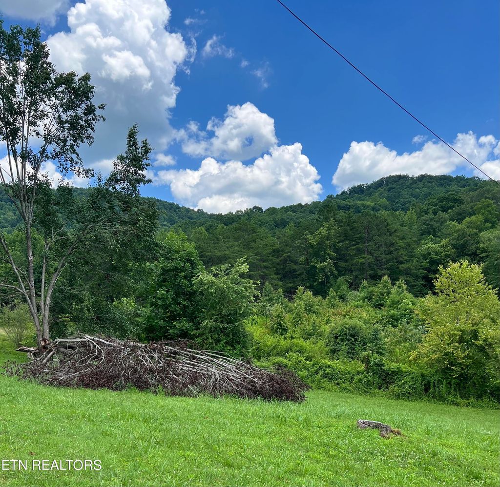 Photo of Wooldridge Rd, Jellico, TN 37762 (MLS # 1309273)