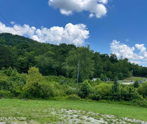 Wooldridge Rd Jellico TN 37762