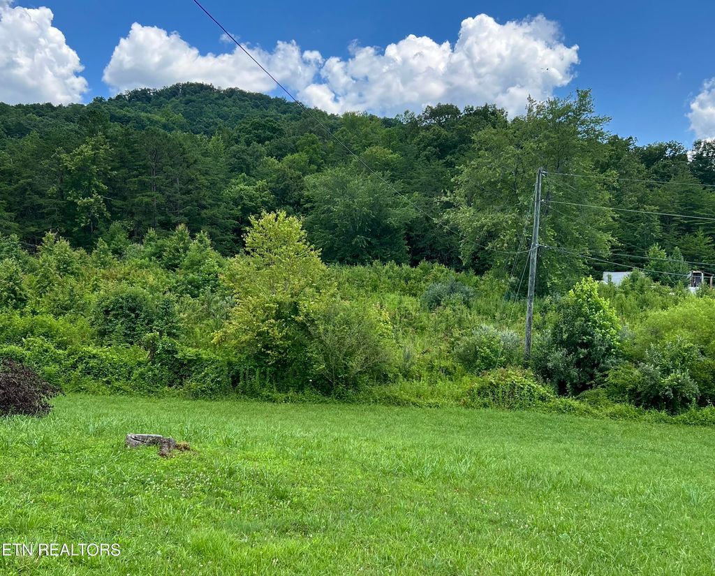 Photo of Wooldridge Rd, Jellico, TN 37762 (MLS # 1309273)