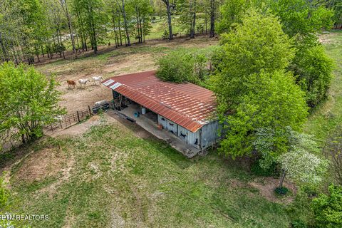 Tiny photo for 223 Reed Rd, Ten Mile, TN 37880 (MLS # 1336302)