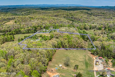 Tiny photo for 223 Reed Rd, Ten Mile, TN 37880 (MLS # 1336302)