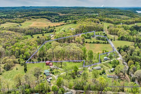 Tiny photo for 223 Reed Rd, Ten Mile, TN 37880 (MLS # 1336302)