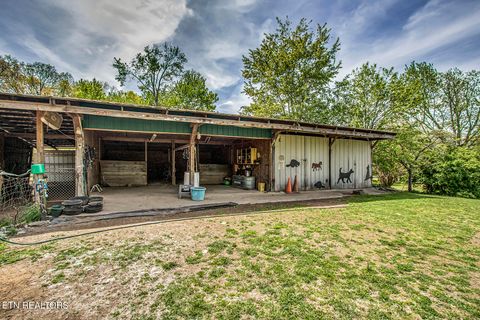 Tiny photo for 223 Reed Rd, Ten Mile, TN 37880 (MLS # 1336302)