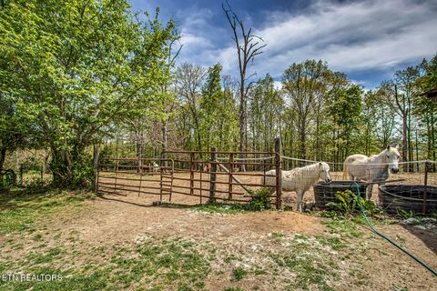 Tiny photo for 223 Reed Rd, Ten Mile, TN 37880 (MLS # 1336302)