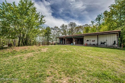 Tiny photo for 223 Reed Rd, Ten Mile, TN 37880 (MLS # 1336302)