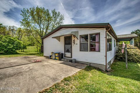 Tiny photo for 223 Reed Rd, Ten Mile, TN 37880 (MLS # 1336302)