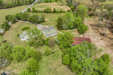 Tiny photo for 223 Reed Rd, Ten Mile, TN 37880 (MLS # 1336302)