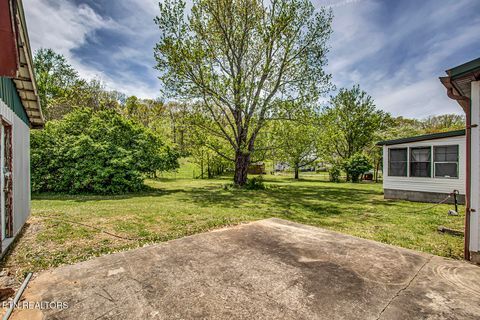 Tiny photo for 223 Reed Rd, Ten Mile, TN 37880 (MLS # 1336302)