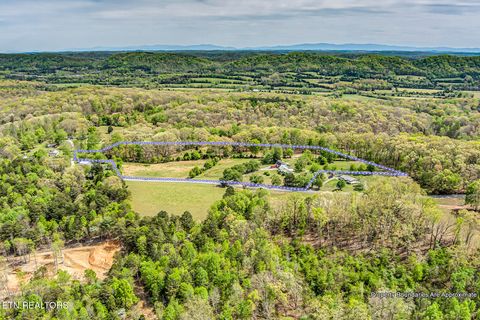 Tiny photo for 223 Reed Rd, Ten Mile, TN 37880 (MLS # 1336302)