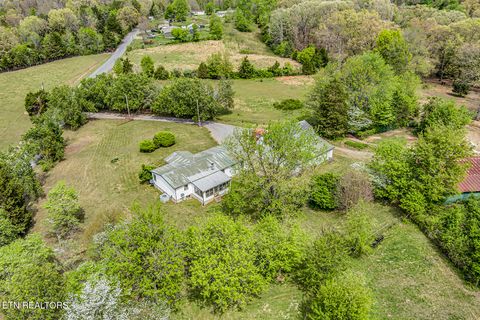 Tiny photo for 223 Reed Rd, Ten Mile, TN 37880 (MLS # 1336302)