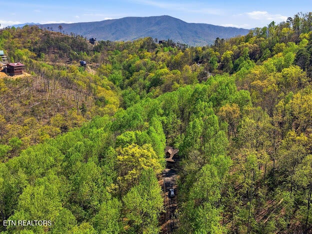 Photo of 3303 Shagbark Hickory RDG, Sevierville, TN 37862 (MLS # 1353018)