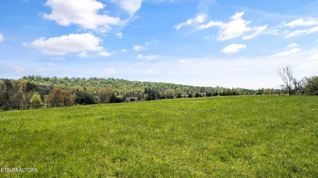 Photo of 1504 Marble Hill Rd, Greenback, TN 37742 (MLS # 1259829)