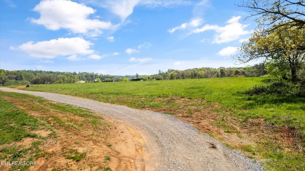 Photo of 1504 Marble Hill Rd, Greenback, TN 37742 (MLS # 1259829)