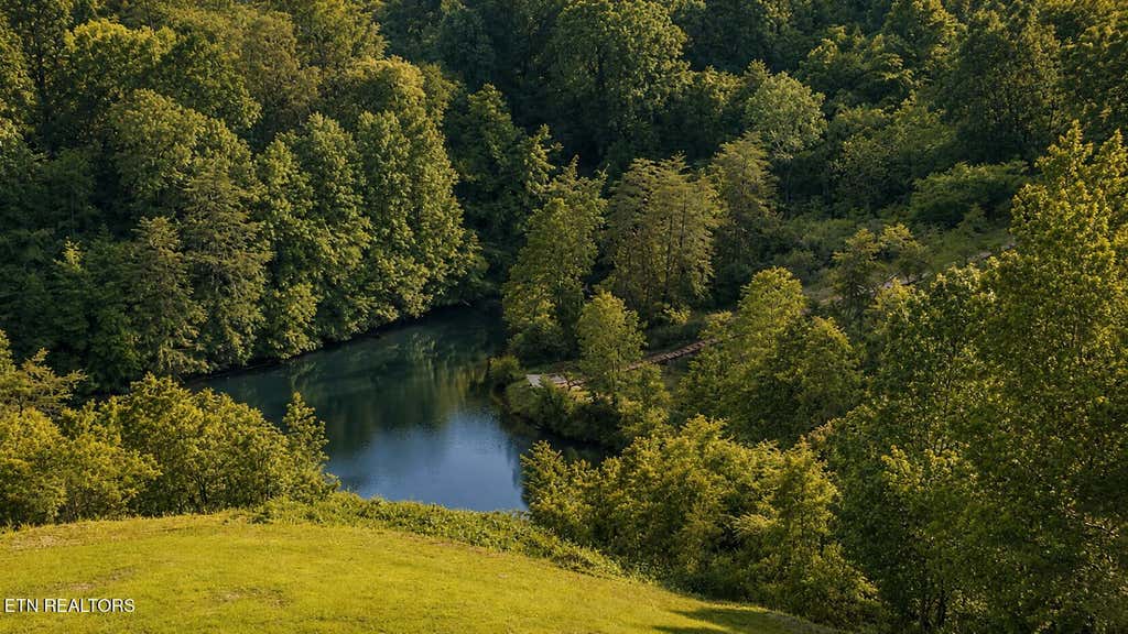 Photo of 339 Oak Lake Drive, Sevierville, TN 37876 (MLS # 1350771)