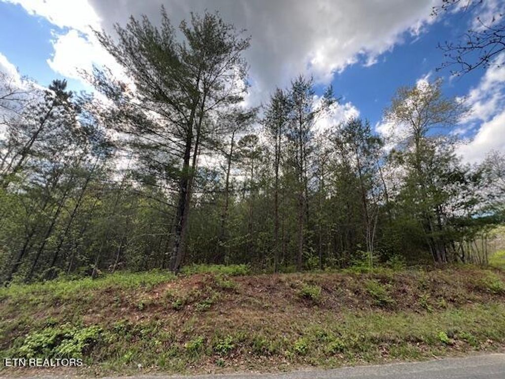 Photo of Barney Creek Rd, Tellico Plains, TN 37385 (MLS # 1260924)