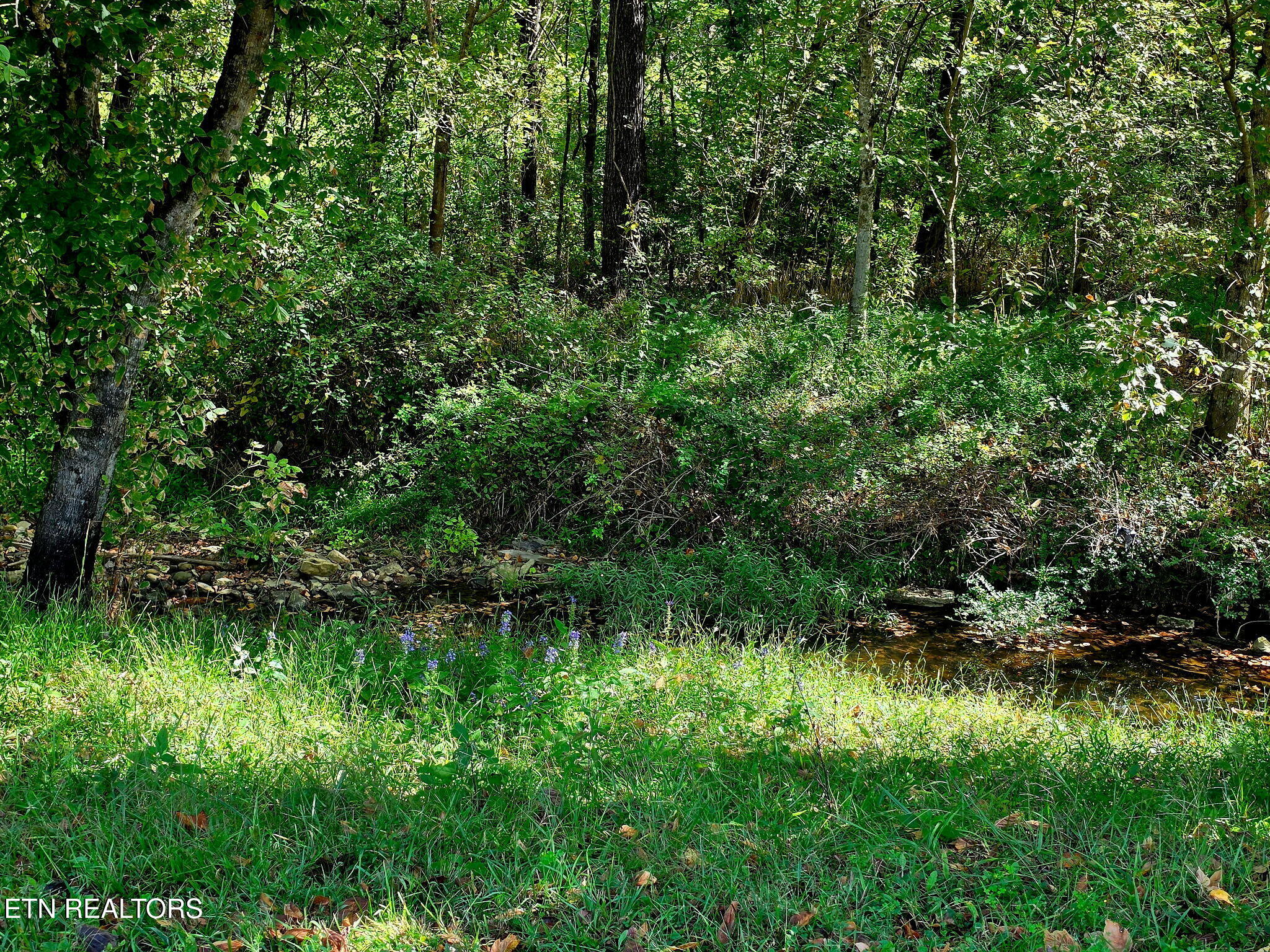2285 Douglas Dam Rd