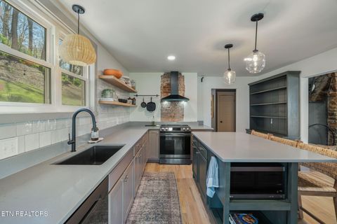 Tiny photo for 149 Fort Ave, Knoxville, TN 37920 (MLS # 1334818)