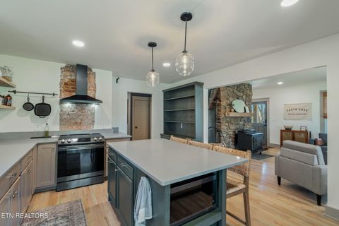 Tiny photo for 149 Fort Ave, Knoxville, TN 37920 (MLS # 1334818)