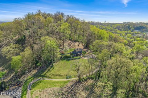Tiny photo for 149 Fort Ave, Knoxville, TN 37920 (MLS # 1334818)