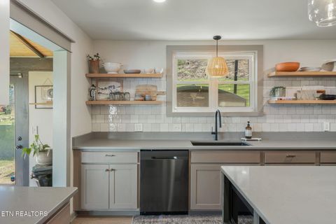 Tiny photo for 149 Fort Ave, Knoxville, TN 37920 (MLS # 1334818)