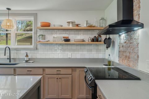 Tiny photo for 149 Fort Ave, Knoxville, TN 37920 (MLS # 1334818)