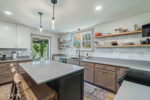 Tiny photo for 149 Fort Ave, Knoxville, TN 37920 (MLS # 1334818)