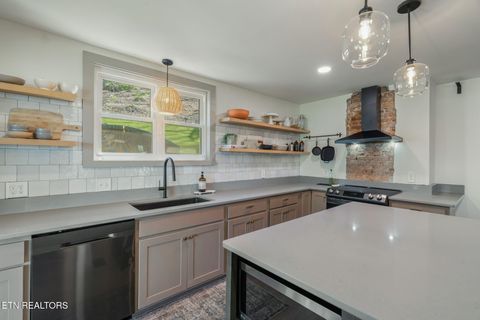 Tiny photo for 149 Fort Ave, Knoxville, TN 37920 (MLS # 1334818)