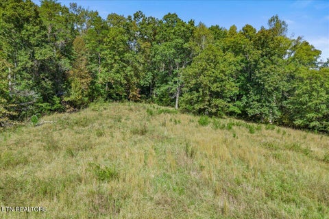 Tiny photo for 209 Saffles Lane, Madisonville, TN 37354 (MLS # 1359772)