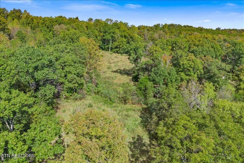 Tiny photo for 209 Saffles Lane, Madisonville, TN 37354 (MLS # 1359772)