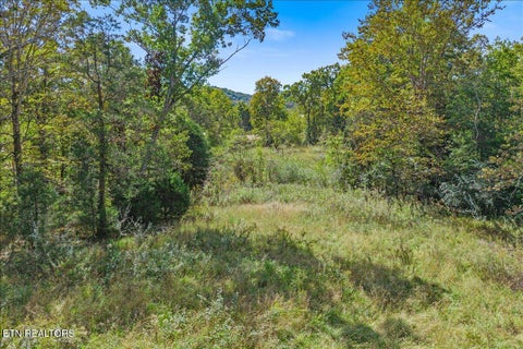 Tiny photo for 209 Saffles Lane, Madisonville, TN 37354 (MLS # 1359772)