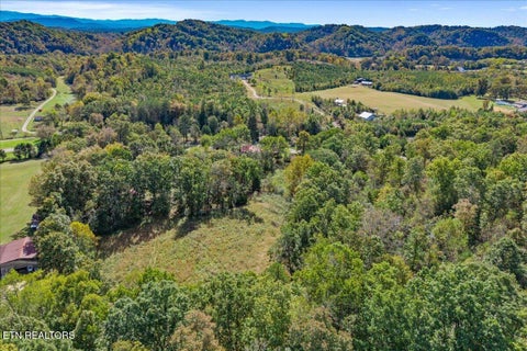 Tiny photo for 209 Saffles Lane, Madisonville, TN 37354 (MLS # 1359772)
