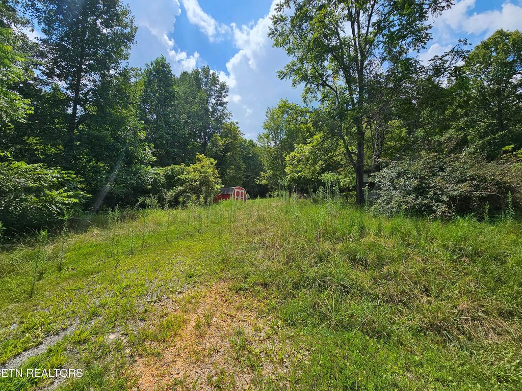 Photo of 210 Brumitt Lane, Speedwell, TN 37870 (MLS # 1313977)