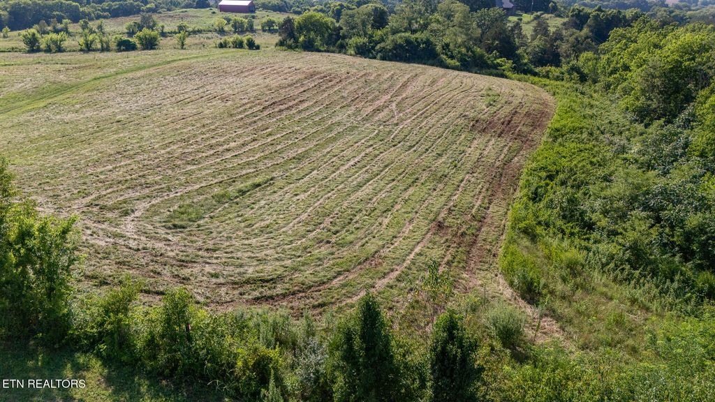 Photo of 2167 Hiwassee Rd, Sweetwater, TN 37874 (MLS # 1309522)