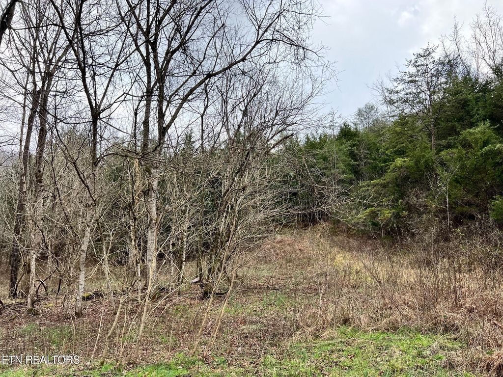 Photo of 0 Mountain Loop Rd, Thorn Hill, TN 37881 (MLS # 1285826)