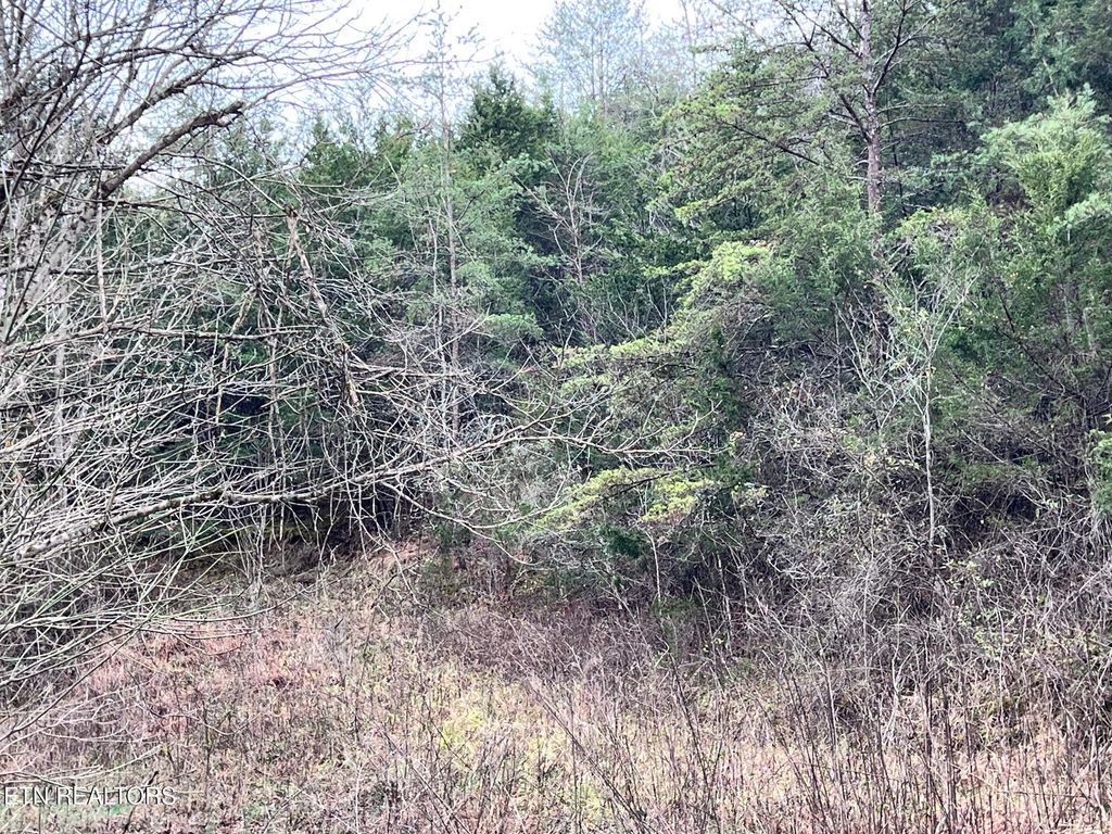 Photo of 0 Mountain Loop Rd, Thorn Hill, TN 37881 (MLS # 1285826)