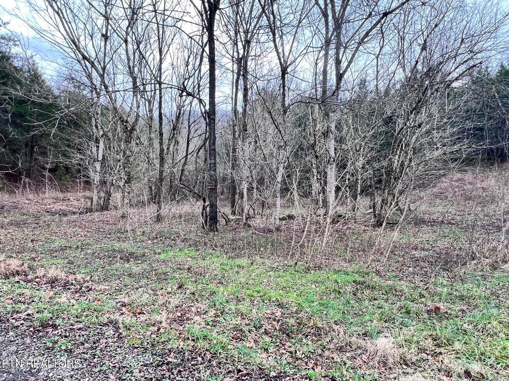 Photo of 0 Mountain Loop Rd, Thorn Hill, TN 37881 (MLS # 1285826)