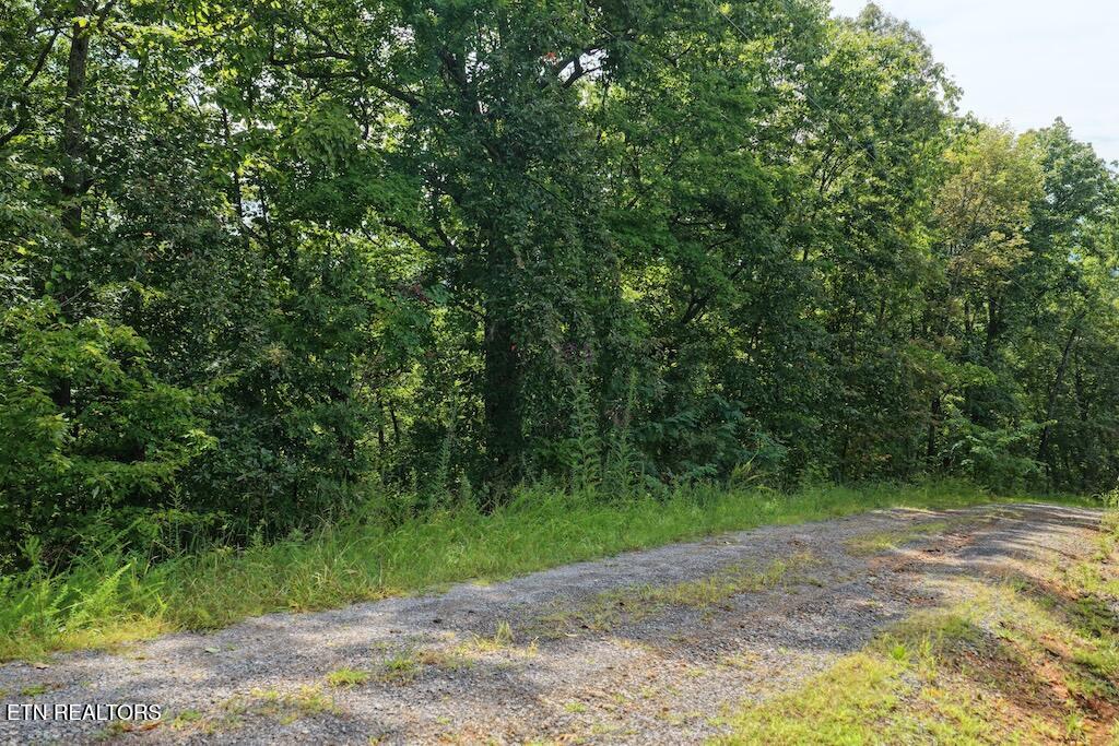 Photo of 27 Shady Oaks Way, Sevierville, TN 37876 (MLS # 1353021)
